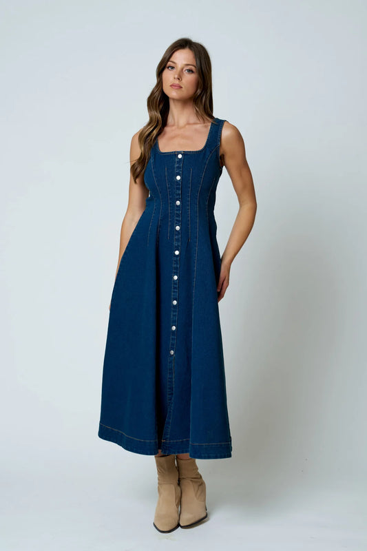 Blue Agave Denim Dress